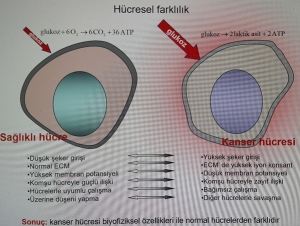 Hiperterminin Yan Etkileri Nelerdir?