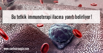 Bu tetkik immunoterapi ilacına yanıtı belirliyor