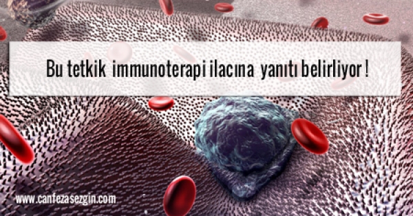 Bu tetkik immunoterapi ilacına yanıtı belirliyor